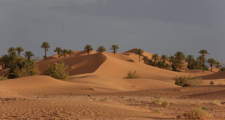 8 jours d'aventure dans le désert au départ de Marrakech - Tilila Travel 1