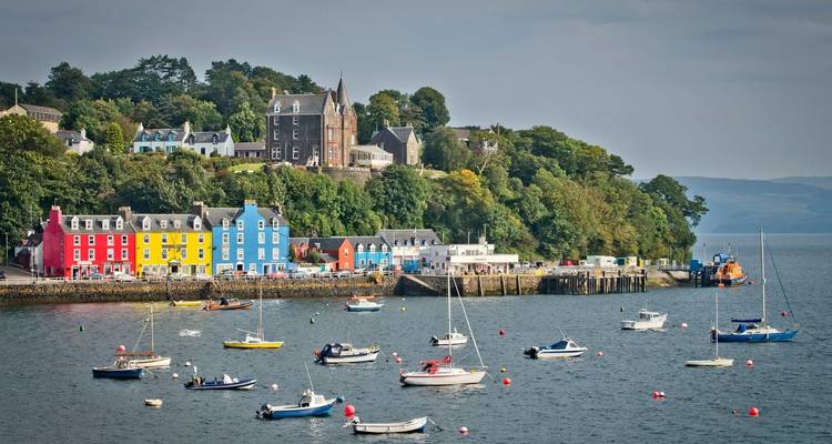 Mull, Iona & Staffa Puffin Experience - Highland Explorer Tours 6