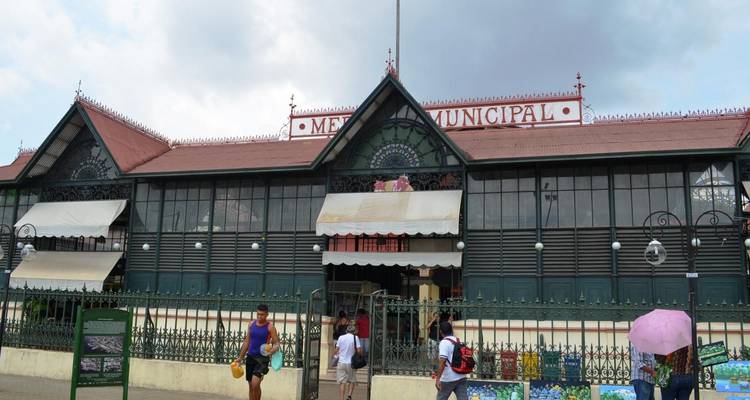 4 jours à Manaus - Tangol Tours 8