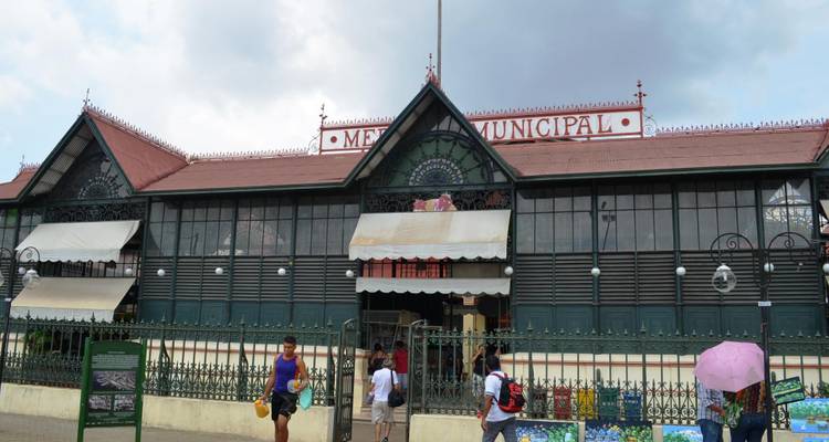 4 jours à Manaus - Tangol Tours 1