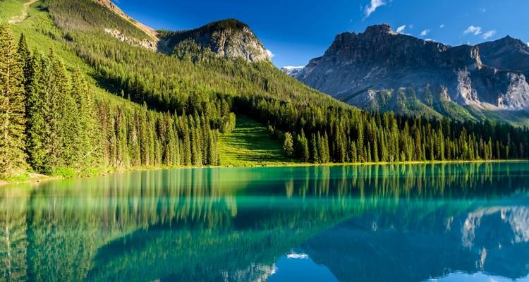 Un lago sereno con bosque de pinos y reflejos de montañas.