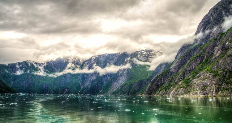 Fiordos brumosos con hielo flotante en un paisaje marino en calma bajo un cielo nublado.