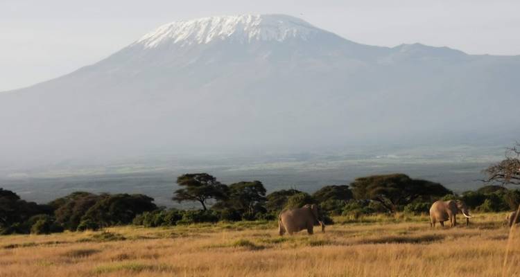 Experiencia de Safari Privado de Lujo en Kenia Mágica de 10 Días - Smile view Kenya tours and travel 7