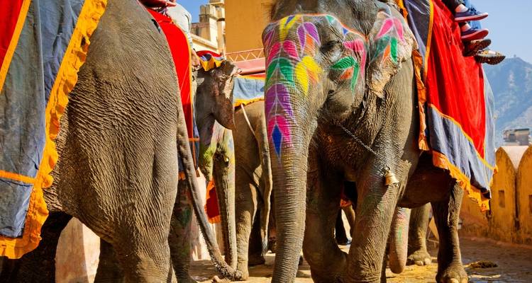 Lo más destacado de la India - Golden Triangle India Tours 3
