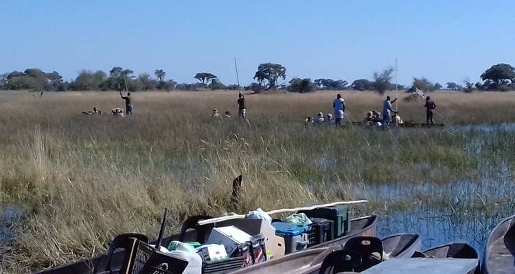 People in mokoros on a marshy waterway.