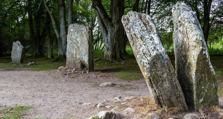 Antiguas piedras erguidas en una zona boscosa.