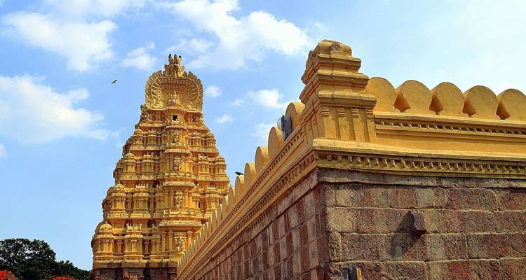 Passage par le Kerala - Golden Triangle India Tours 1