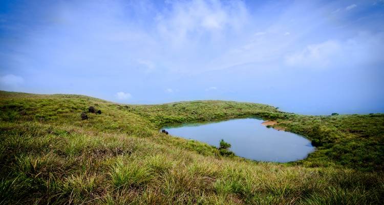Passage par le Kerala - Golden Triangle India Tours 7
