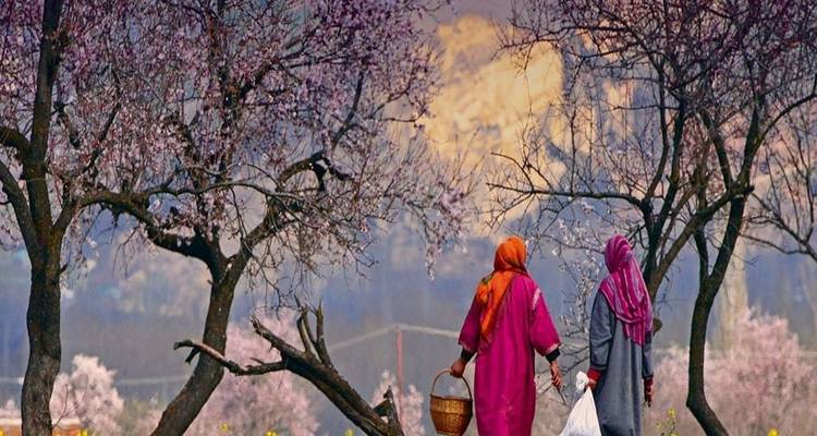 Le cœur de la vallée du Cachemire - Golden Triangle India Tours 6