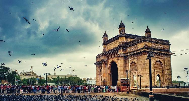 Odisea de la fauna India - Golden Triangle India Tours 8