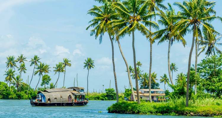 Terres d'épices du Kerala - Golden Triangle India Tours 6