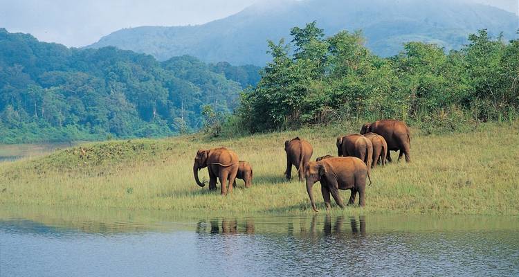 Grand tour de l'Inde du Sud - Golden Triangle India Tours 3