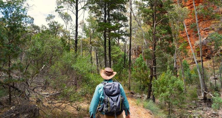 Circuito de aventura de 6 días por la península de Eyre y la Cordillera Flinders - Untamed Escapes 10