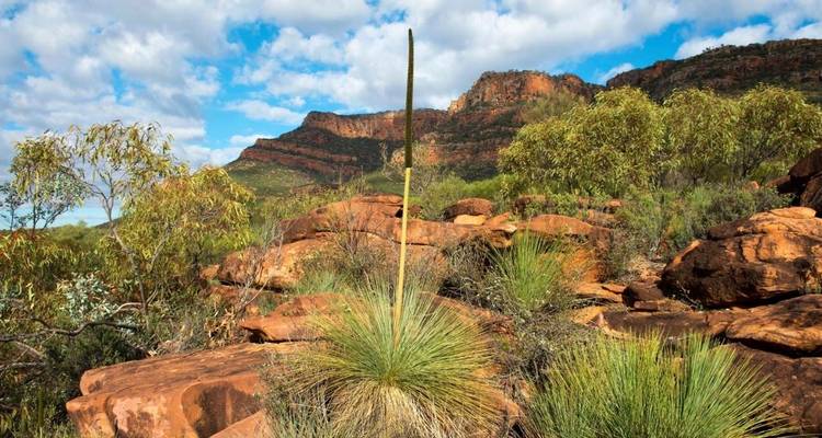 Circuito de aventura de 6 días por la península de Eyre y la Cordillera Flinders - Untamed Escapes 1
