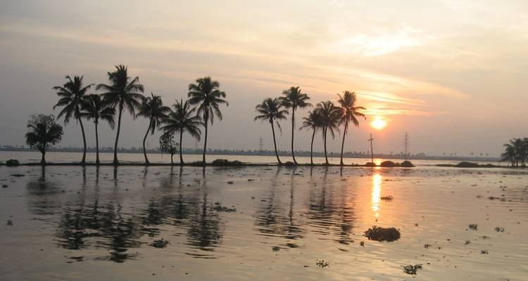 Experience Kerala - Golden Triangle India Tours 3