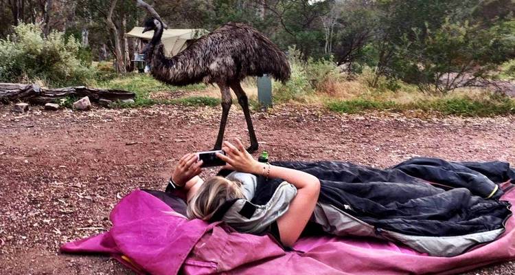 6-Day Esperance & Margaret River Adventure Tour - Untamed Escapes 10
