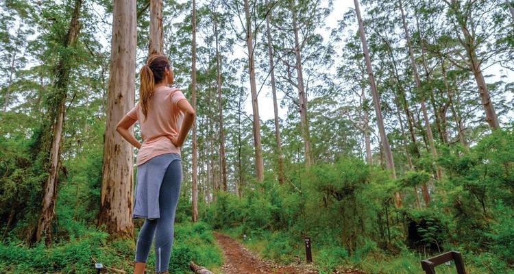 6-Day Esperance & Margaret River Adventure Tour - Untamed Escapes 3