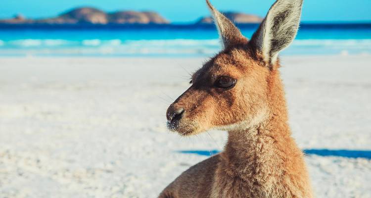 6-Day Esperance & Margaret River Adventure Tour - Untamed Escapes 6