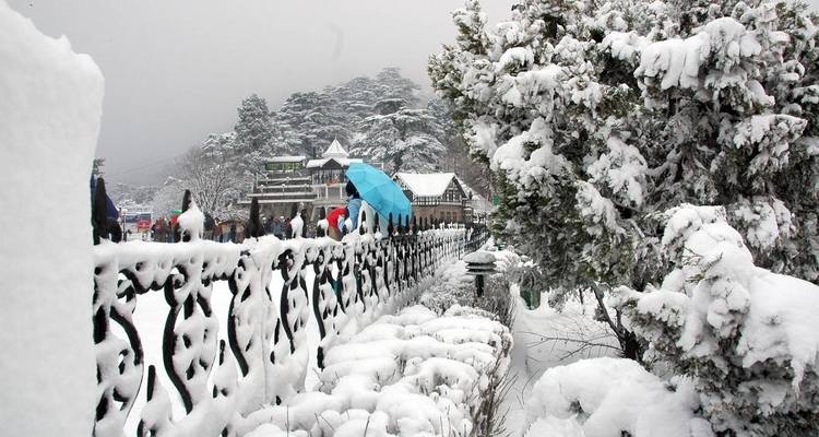 Complete Himachal Tour - Golden Triangle India Tours 6