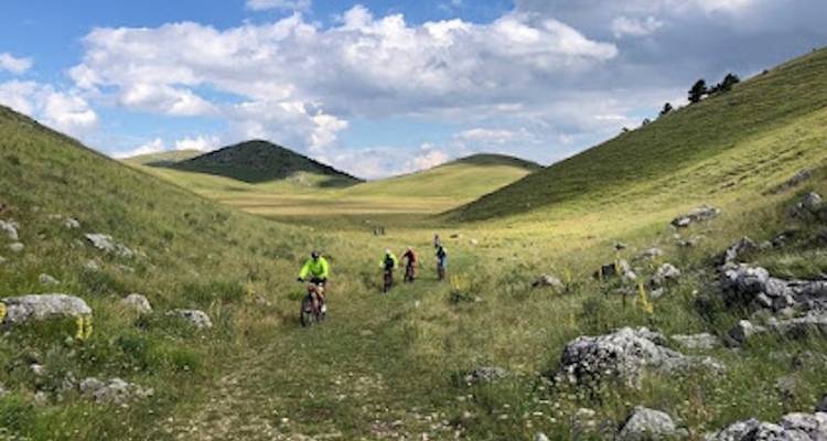 Fietsers rijden door een weelderige vallei.