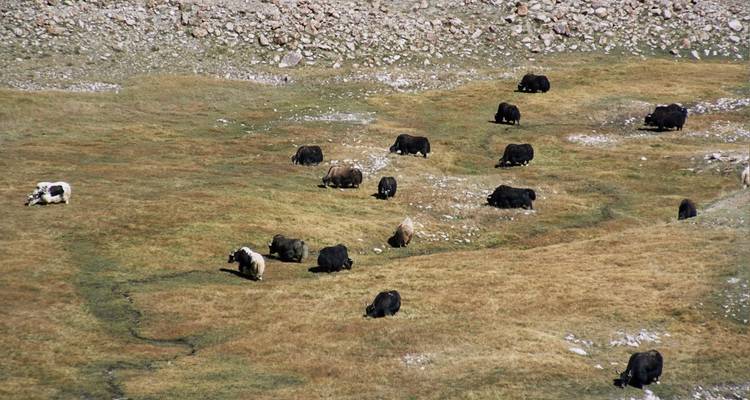 14 días de excursionismo en Chilinji y Chapursan paso del valle - 5 247 m - Pakistán - Rock Valley Tours Pvt Ltd 1