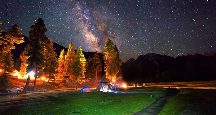 Hermosa noche estrellada con la Vía Láctea visible sobre el bosque.