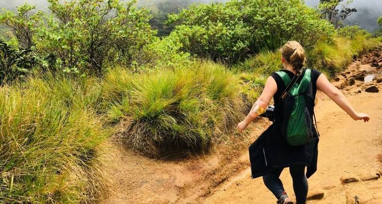 Een vrouw die over een pad loopt in een weelderig, groen landschap.