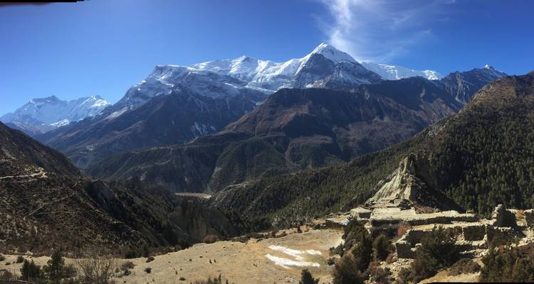 Panoramic view of snow-covered mountains and forests.