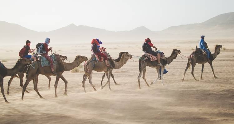 Best of Royal Rajasthan - Golden Triangle India Tours 1