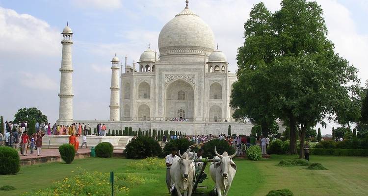 Taj Mahal Tour with Yoga - Golden Triangle India Tours 9
