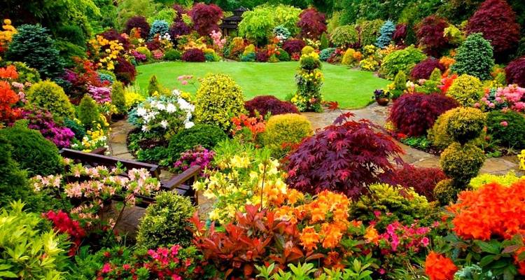 Little England of NuwaraEliya - Stelaran Holidays (Pvt) Ltd 10