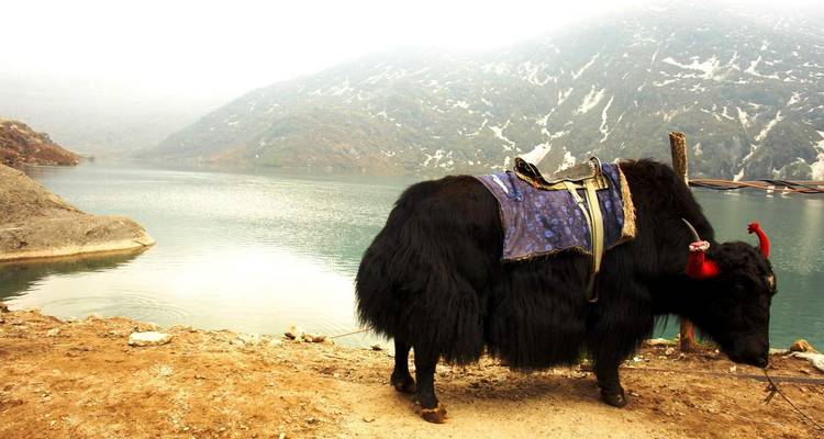 Asombroso noreste de la India - Golden Triangle India Tours 4