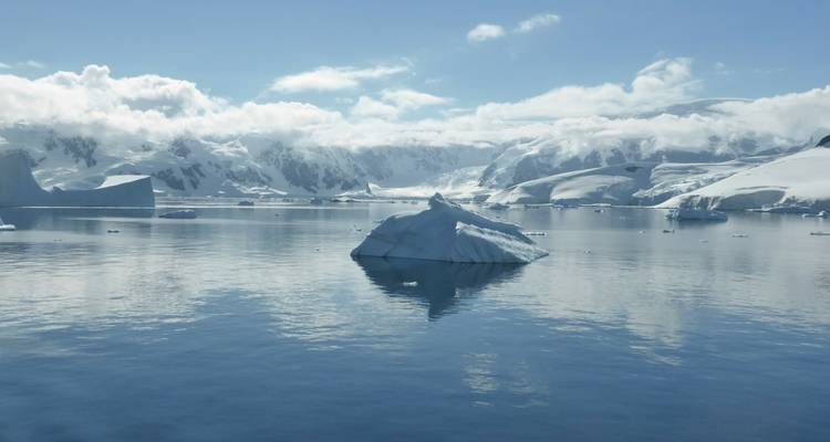 Îles Shetland du Sud et péninsule Antarctique - navires Ocean Victory et Ocean Albatros - Albatros Expeditions 7