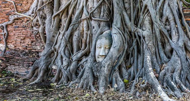 Buddha head entwined in the roots of a Bodhi tree at a historic site.