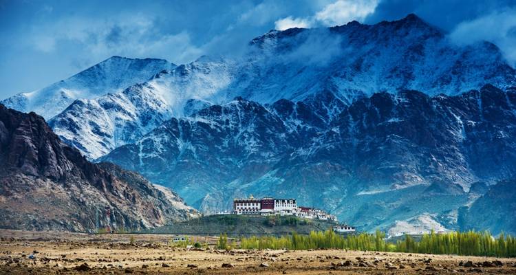 Un Ladakh unique - Golden Triangle India Tours 7