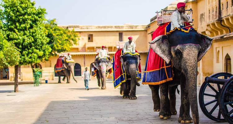 "Éléphants avec des touristes dans un cadre architectural."