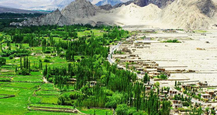 13 Days Romantic Golden Triangle Tour with Leh and Ladakh(ALL INCLUSIVE) - Travel Con 8