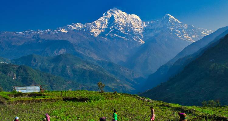 Trek court au camp de base de l'Annapurna - Travel Max Guide 6