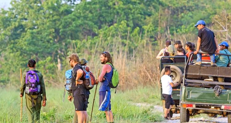 Groupe de personnes en safari dans la jungle, certaines debout, d'autres assises sur un véhicule.