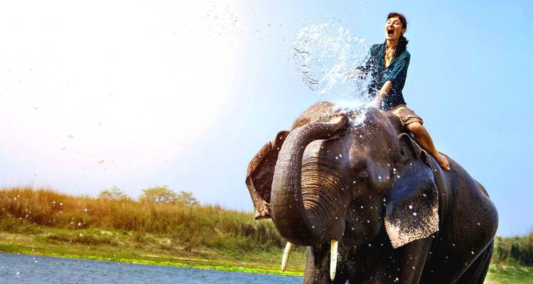 Personne montant un éléphant dans l'eau, avec des éclaboussures d'eau.