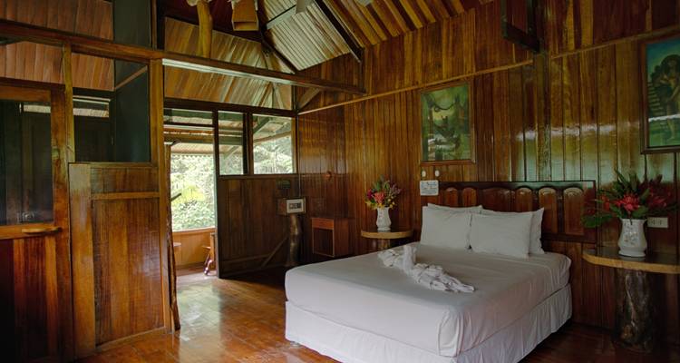 TROPICAL ADVENTURE IN PUERTO MALDONADO - 4 DAYS - Waman Adventures 8
