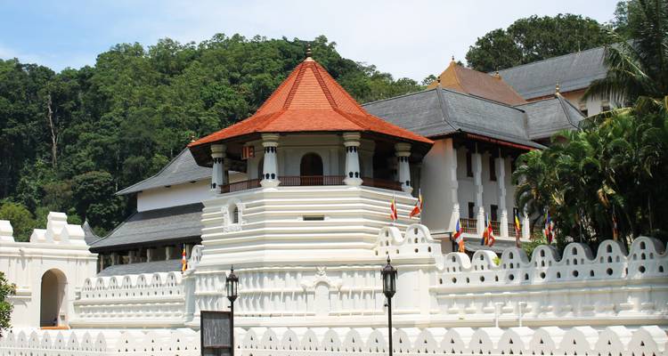 Forfait 10 jours au Sri Lanka - Holiday Lanka Tours 4