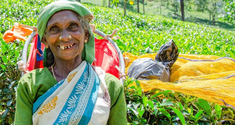Paquete de viaje de 11 días a Sri Lanka - Holiday Lanka Tours 2
