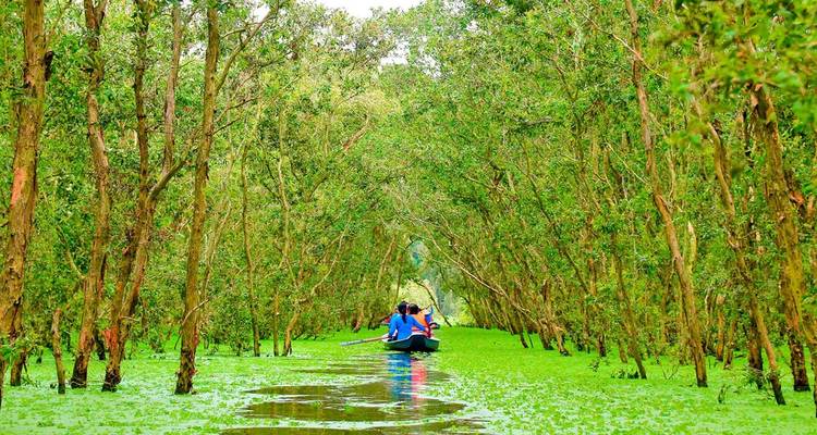 Budget Mekong Delta Group Tour with Floating Market - VietLong Travel 7