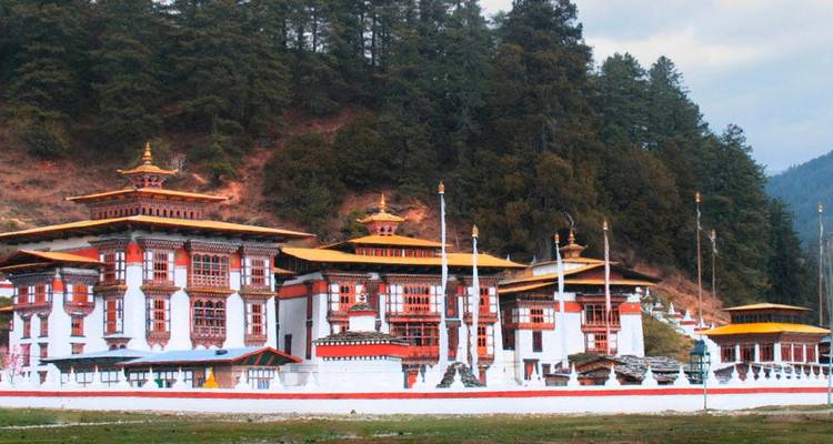 Circuit culturel Népal- Bhoutan 9 jours - Oriental Journeys Pvt. Ltd. 3