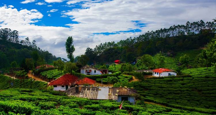 Circuit au Kerala avec vacances à la plage - Trip India Hotels and Holidays  1