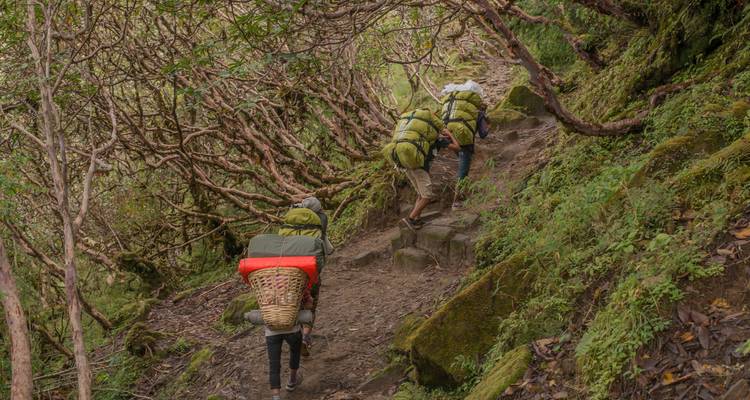 Mardi Himal Trek - Himalayan Glacier Adventure and Travel Company 4