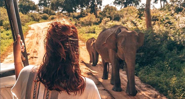 Odyssée du Sri Lanka :  Colombo | Dambulla | Kandy | Nuwara Eliya | Yala | Bentota - MTA Destination Management Company 7