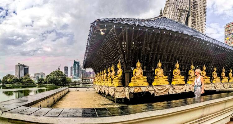 Odyssée du Sri Lanka :  Colombo | Dambulla | Kandy | Nuwara Eliya | Yala | Bentota - MTA Destination Management Company 10
