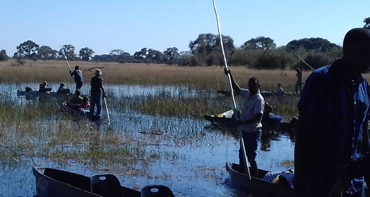 Mensen in kano's die een waterweg vol vegetatie bevaren.
